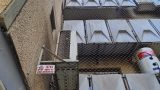 הרחקת יונים באשדוד