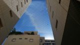 רשת שקופה לגירוש יונים מבניין בתל אביב